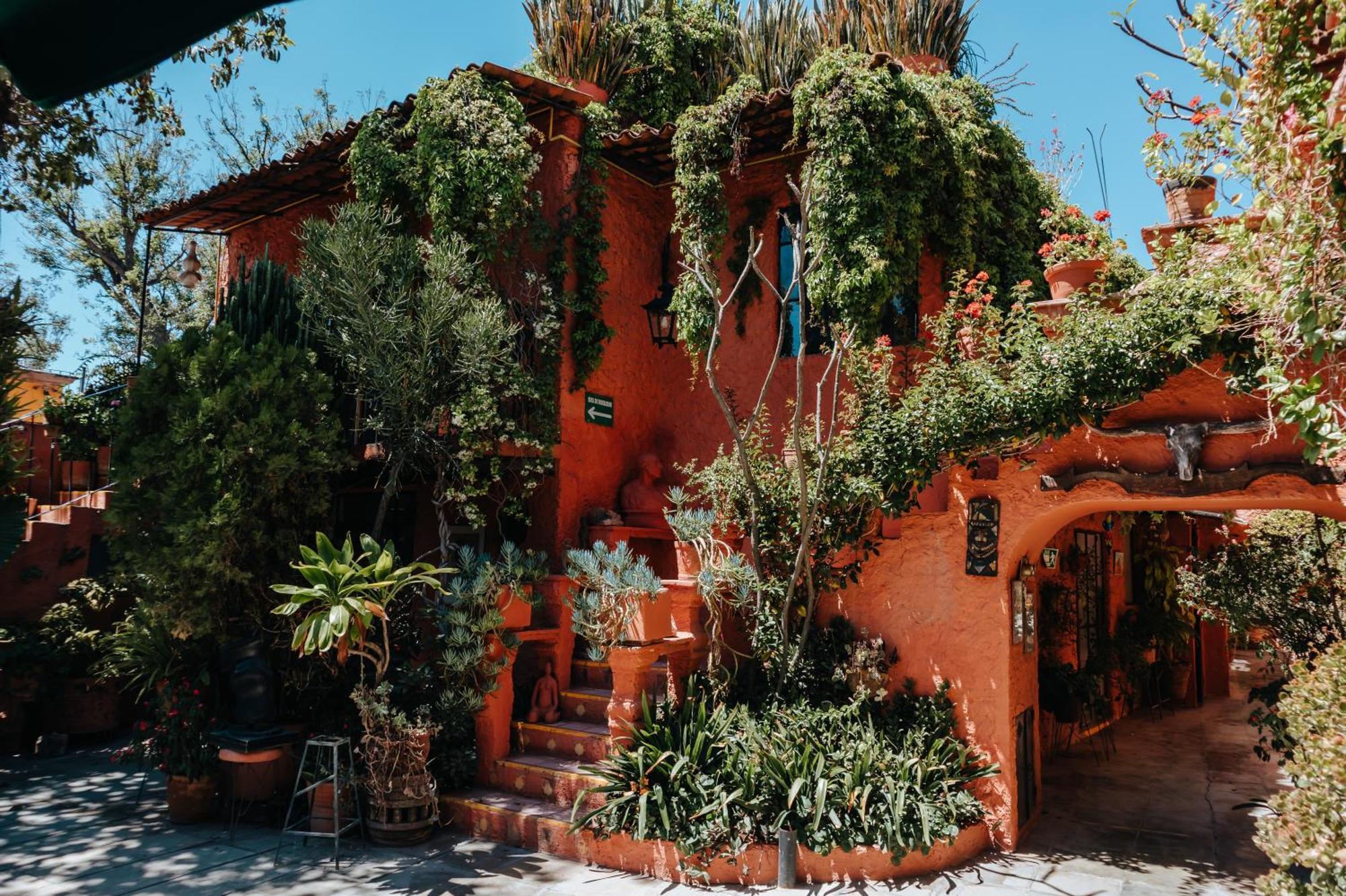 Mansion Del Bosque Hotel San Miguel de Allende Exterior photo